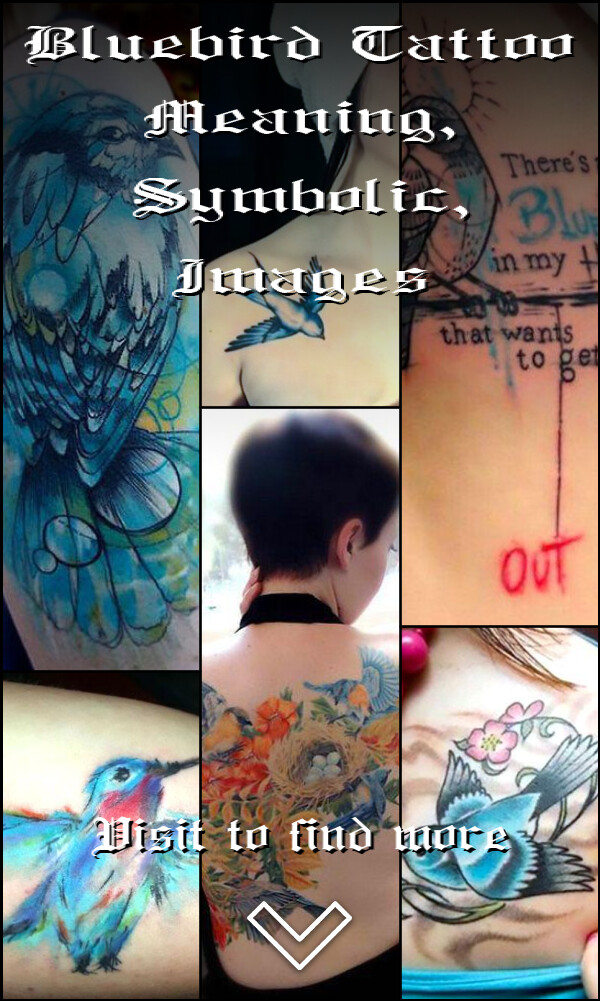 Bluebird Tattoo Meaning, Symbolic, Images