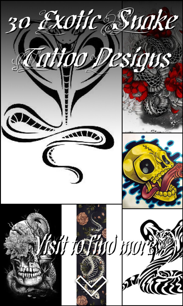 30 Exotic Snake Tattoo Designs