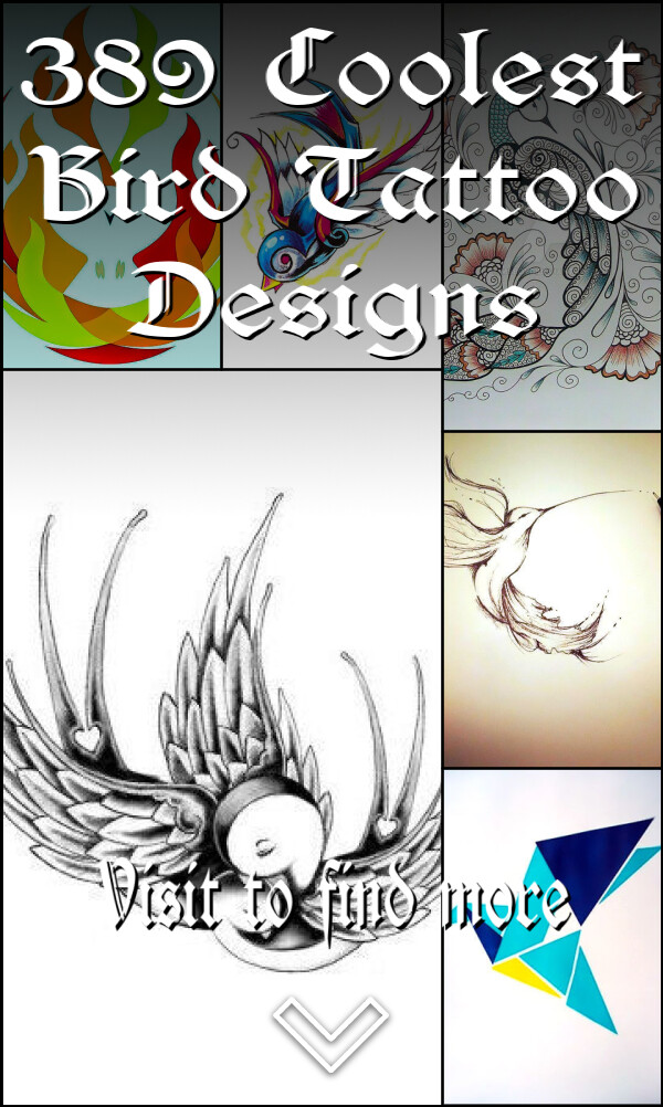 389 Coolest Bird Tattoo Designs