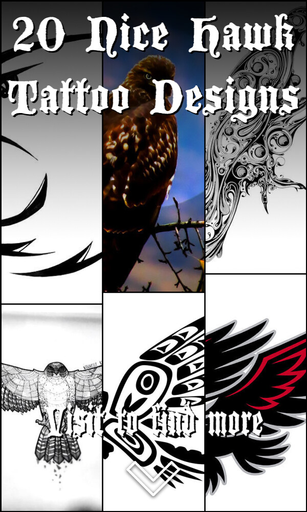20 Nice Hawk Tattoo Designs