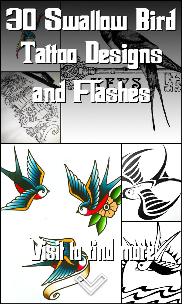 30 Swallow Bird Tattoo Designs and Flashes