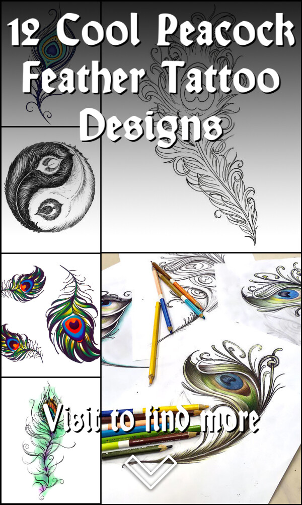 12 Cool Peacock Feather Tattoo Designs