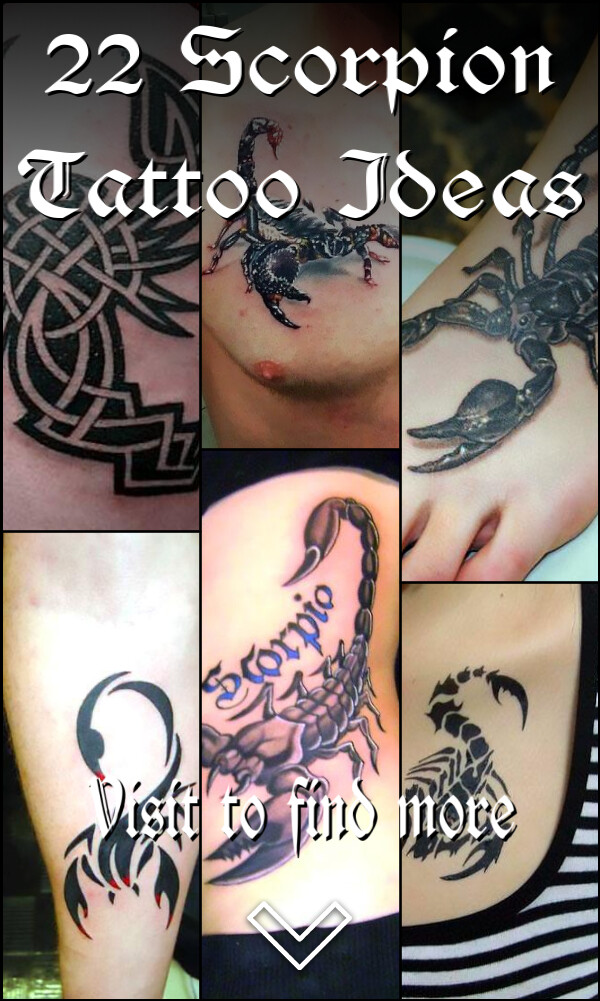 22 Scorpion Tattoo Ideas