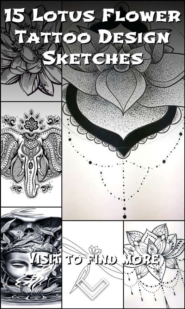 15 Lotus Flower Tattoo Design Sketches