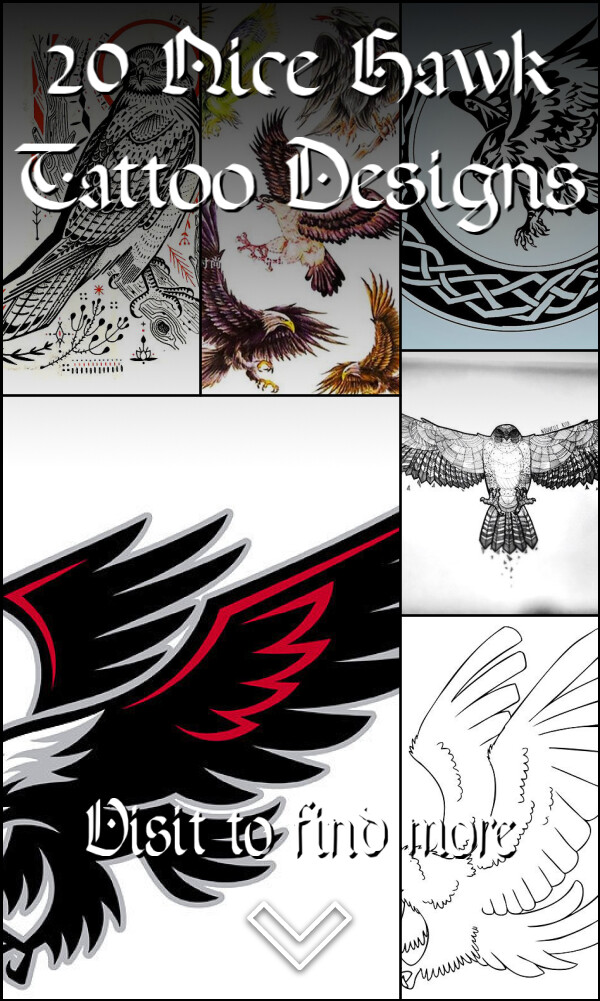 20 Nice Hawk Tattoo Designs
