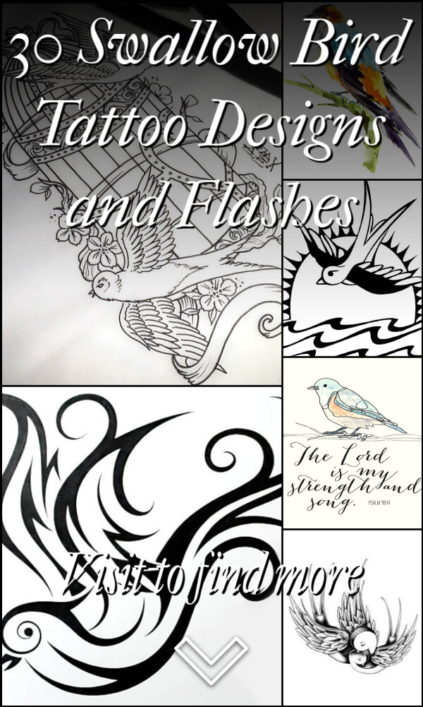30 Swallow Bird Tattoo Designs and Flashes