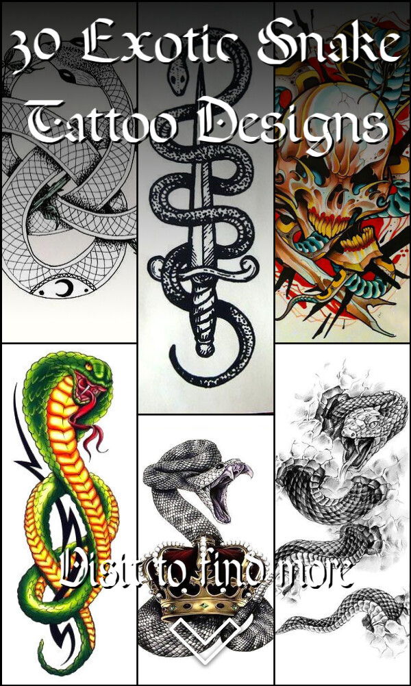 30 Exotic Snake Tattoo Designs