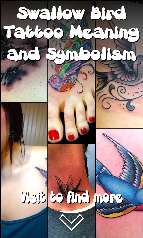 Swallow Bird Tattoo Meaning and Symbolism