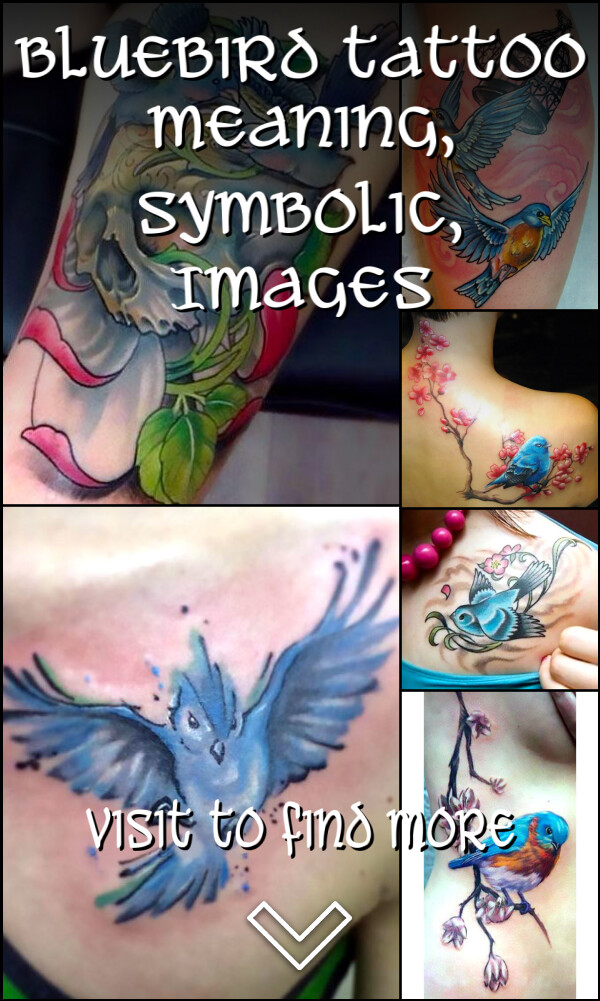 Bluebird Tattoo Meaning, Symbolic, Images