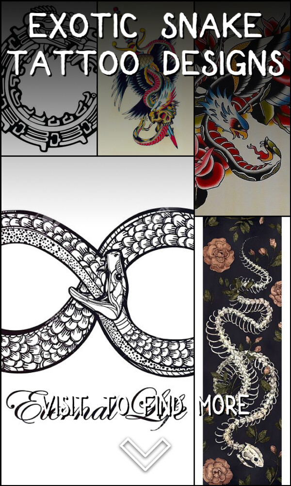 30 Exotic Snake Tattoo Designs