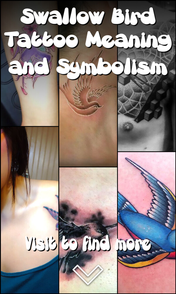 Swallow Bird Tattoo Meaning and Symbolism