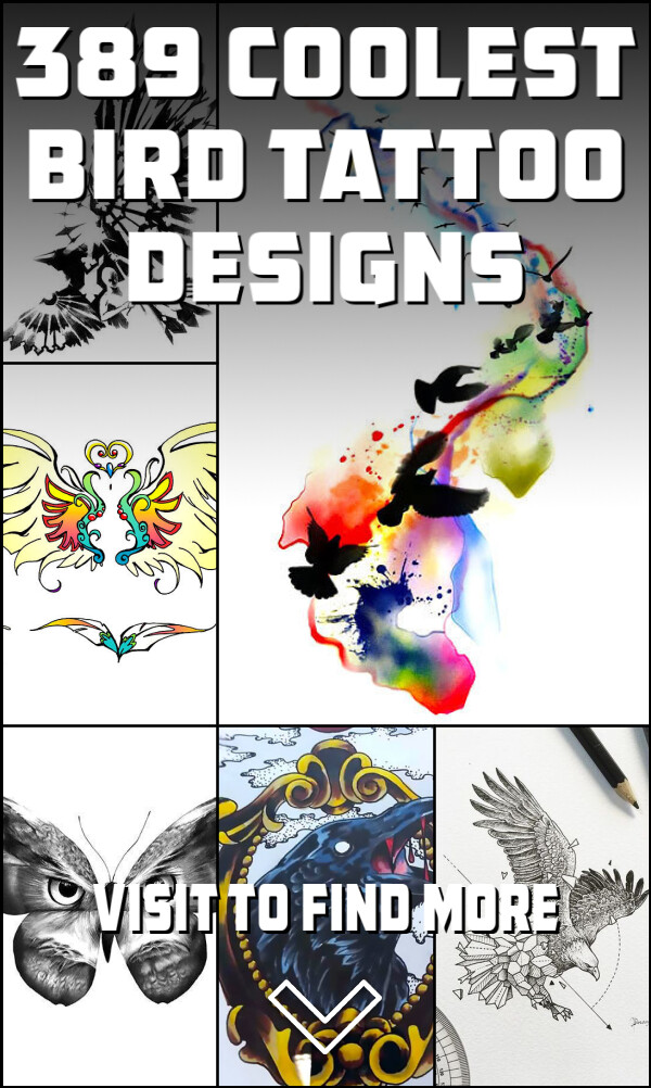 389 Coolest Bird Tattoo Designs