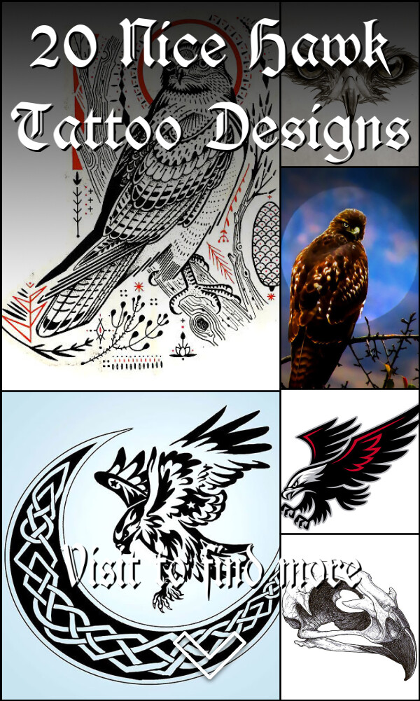 20 Nice Hawk Tattoo Designs