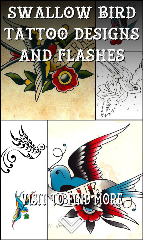 30 Swallow Bird Tattoo Designs and Flashes
