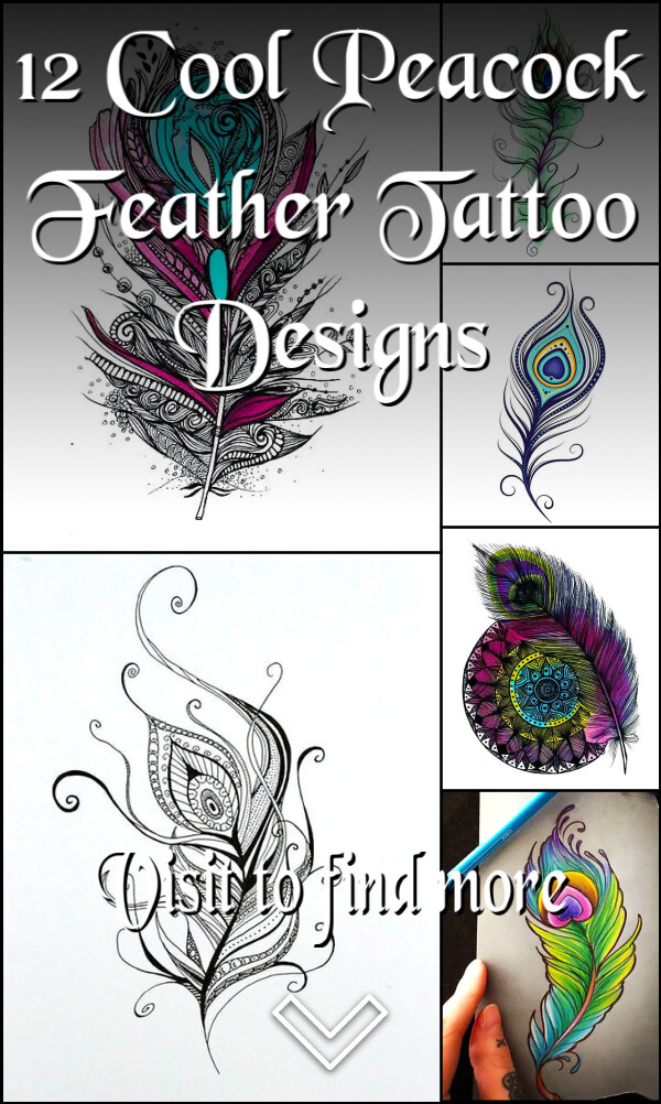 12 Cool Peacock Feather Tattoo Designs