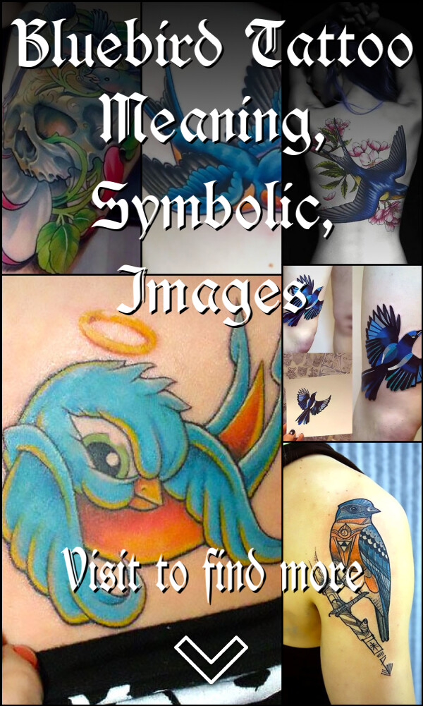 Bluebird Tattoo Meaning, Symbolic, Images