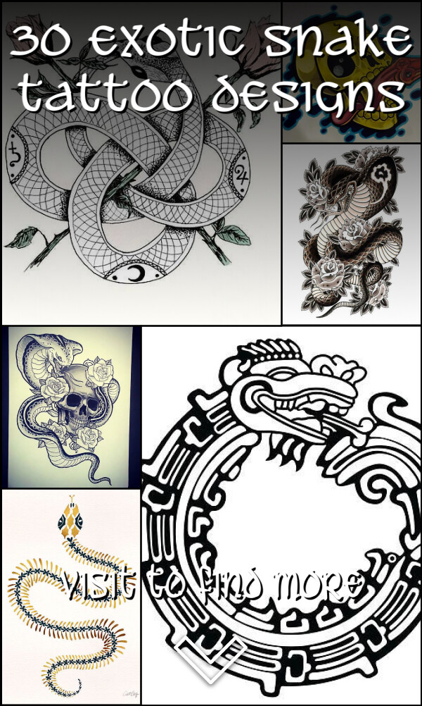 30 Exotic Snake Tattoo Designs