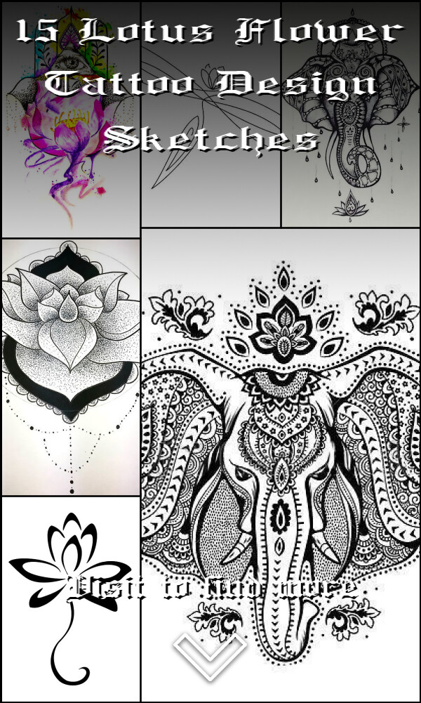 15 Lotus Flower Tattoo Design Sketches