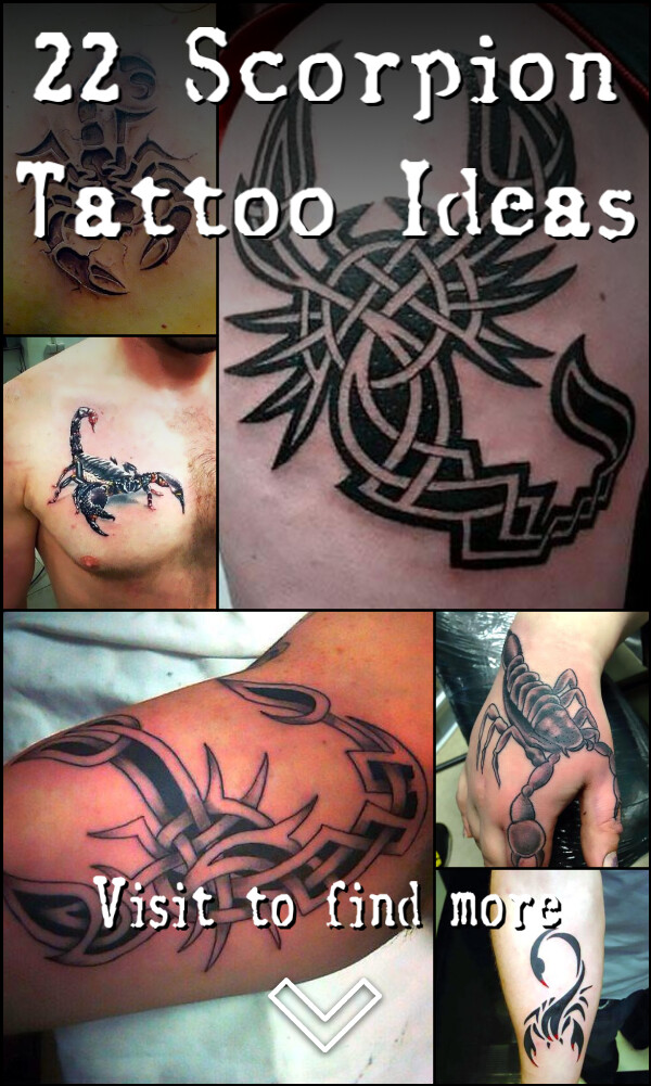 22 Scorpion Tattoo Ideas