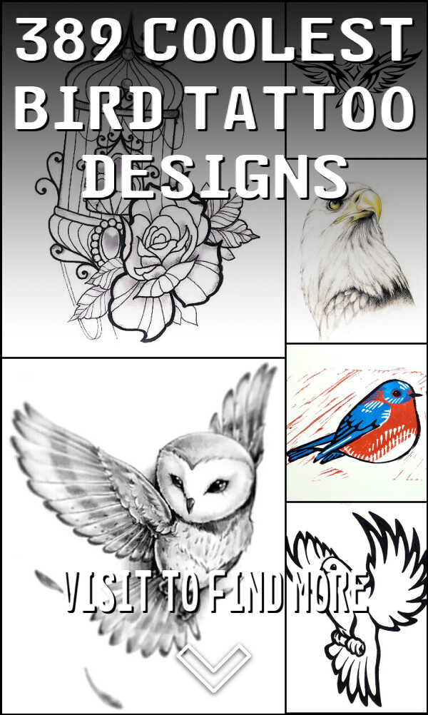 389 Coolest Bird Tattoo Designs