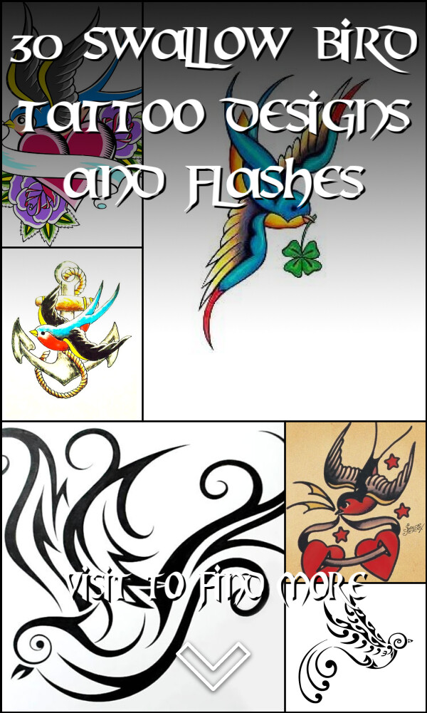 30 Swallow Bird Tattoo Designs and Flashes