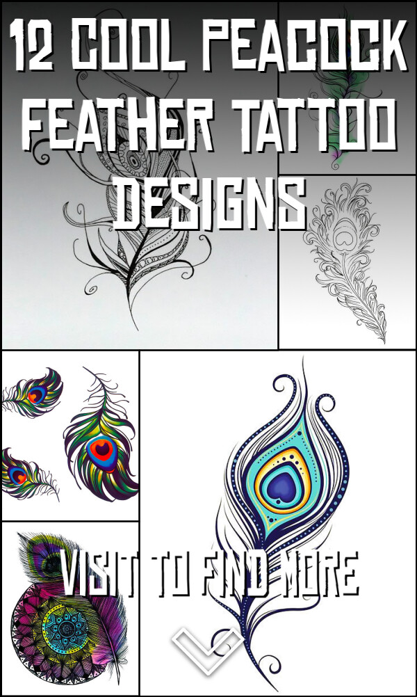 12 Cool Peacock Feather Tattoo Designs