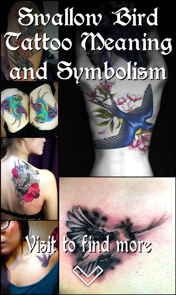Swallow Bird Tattoo Meaning and Symbolism