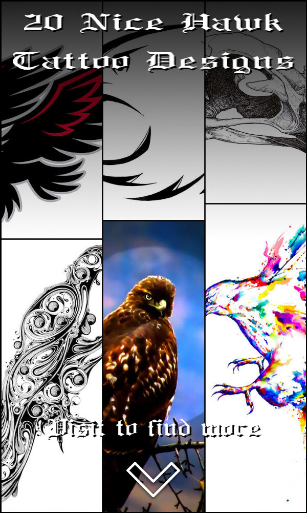 20 Nice Hawk Tattoo Designs