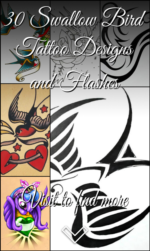 30 Swallow Bird Tattoo Designs and Flashes