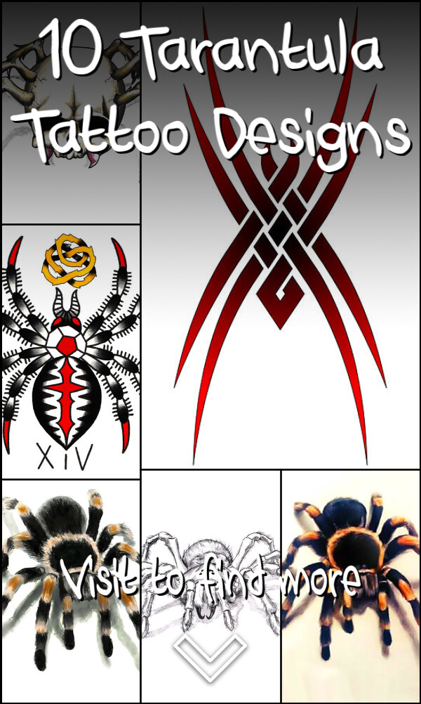 10 Tarantula Tattoo Designs