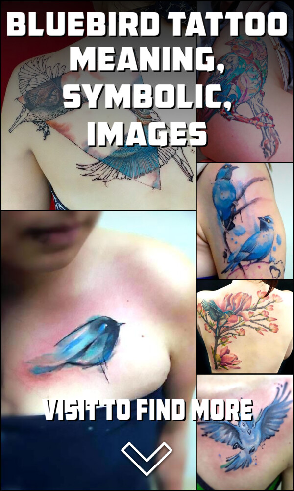 Bluebird Tattoo Meaning, Symbolic, Images