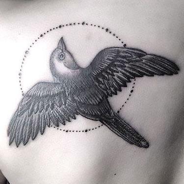 Blackbird Tattoo for Girls Tattoo