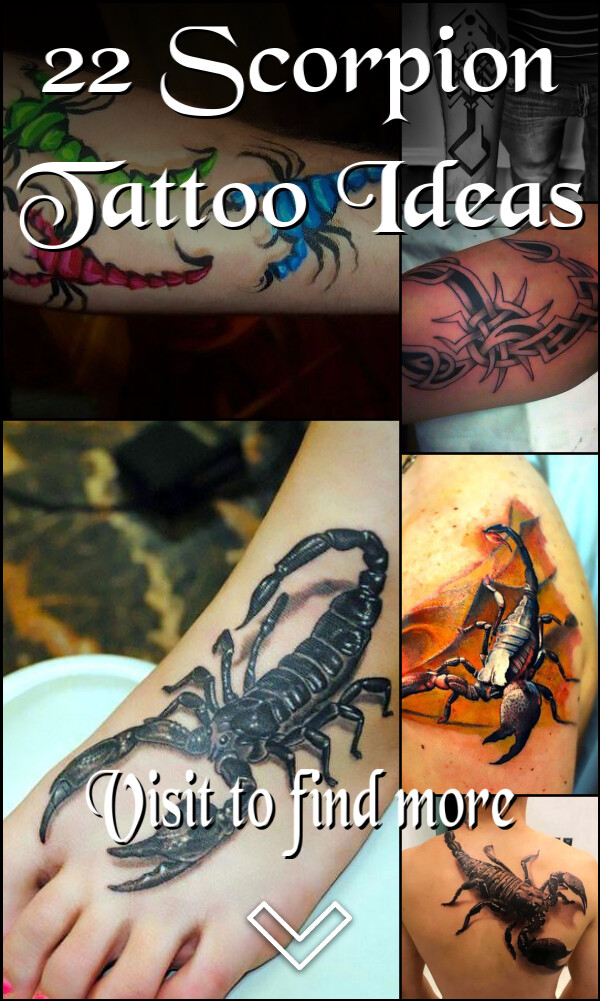 22 Scorpion Tattoo Ideas