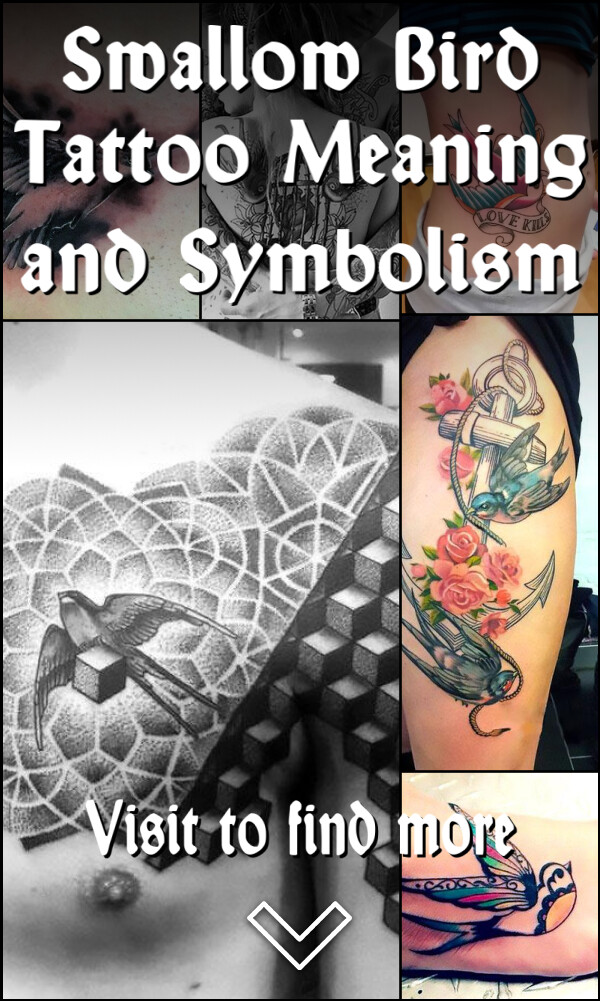 Swallow Bird Tattoo Meaning and Symbolism