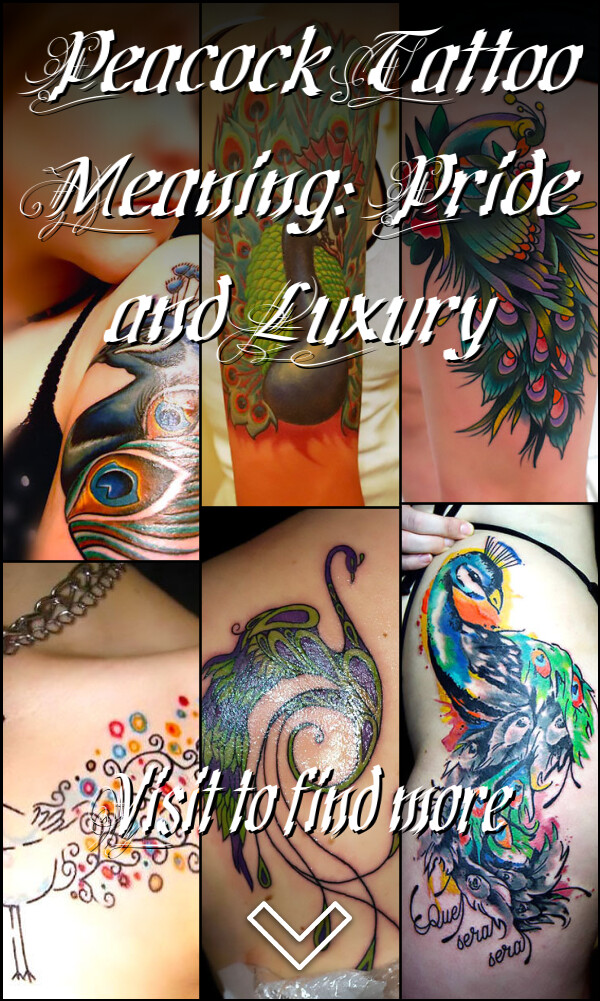Peacock Tattoo Meaning: Pride and Luxury