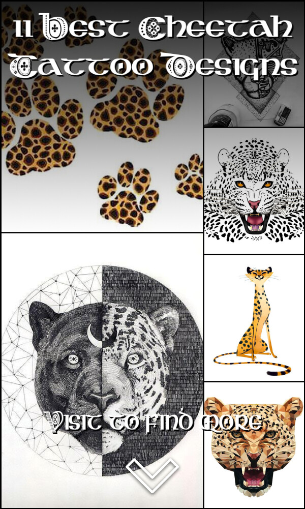 11 Best Cheetah Tattoo Designs
