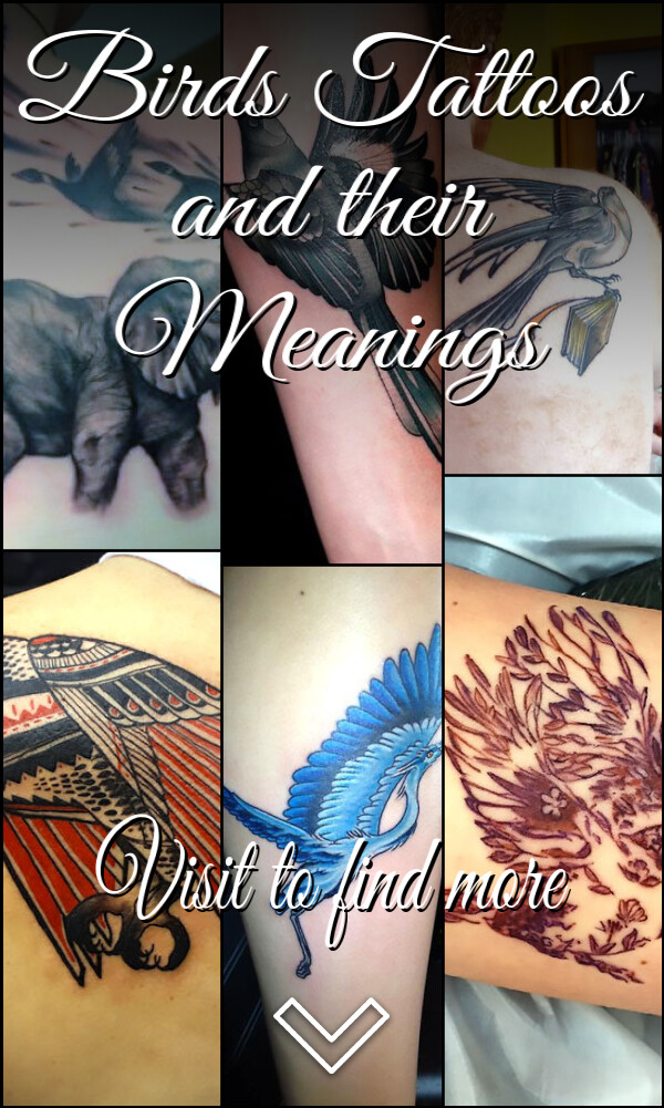 Birds Tattoos and their Meanings
