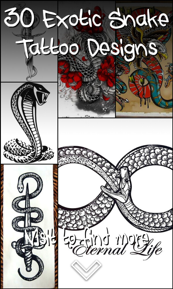 30 Exotic Snake Tattoo Designs