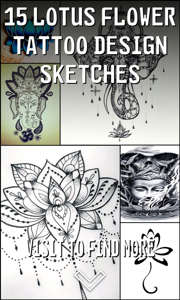 15 Lotus Flower Tattoo Design Sketches