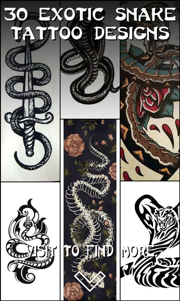 30 Exotic Snake Tattoo Designs