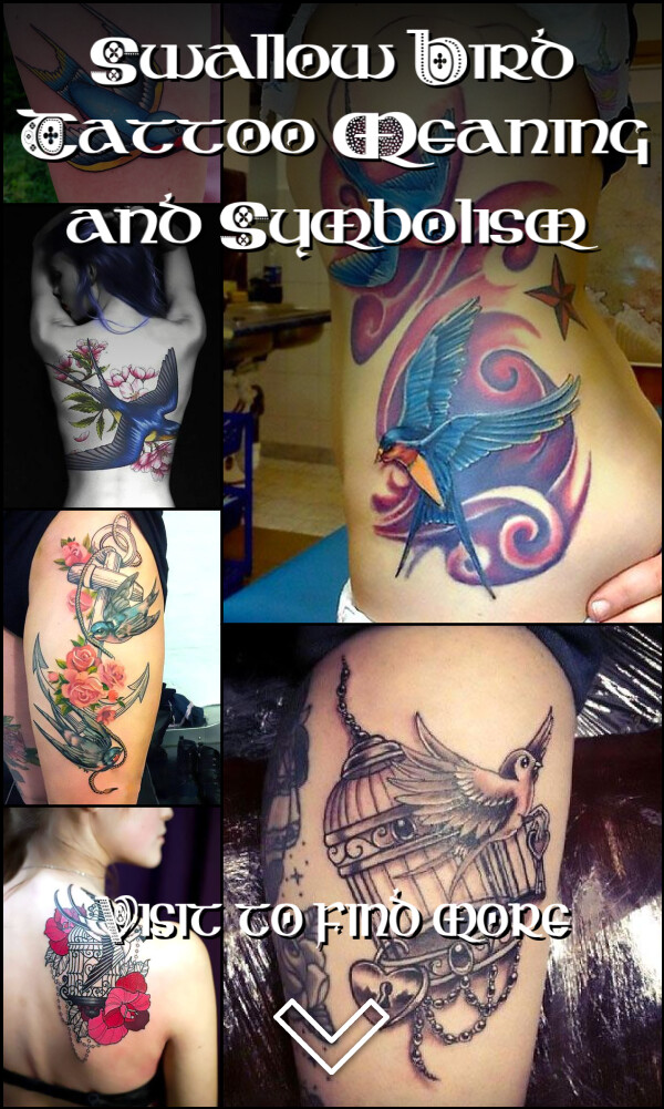 Swallow Bird Tattoo Meaning and Symbolism