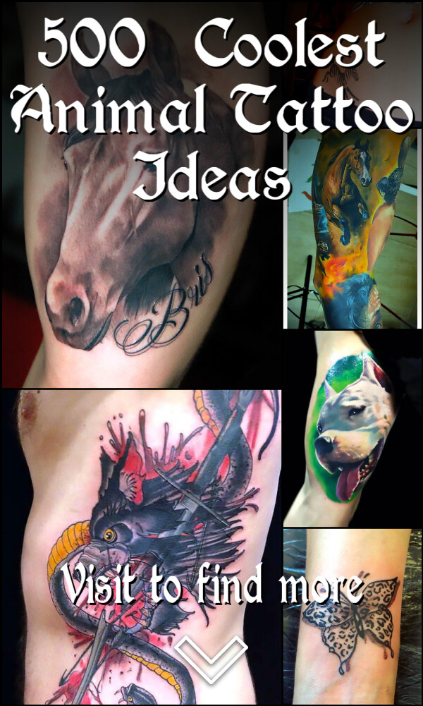 500+ Coolest Animal Tattoo Ideas