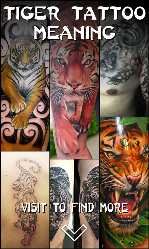 Tiger Tattoo Meaning