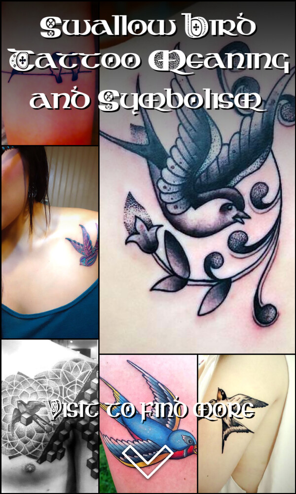 Swallow Bird Tattoo Meaning and Symbolism