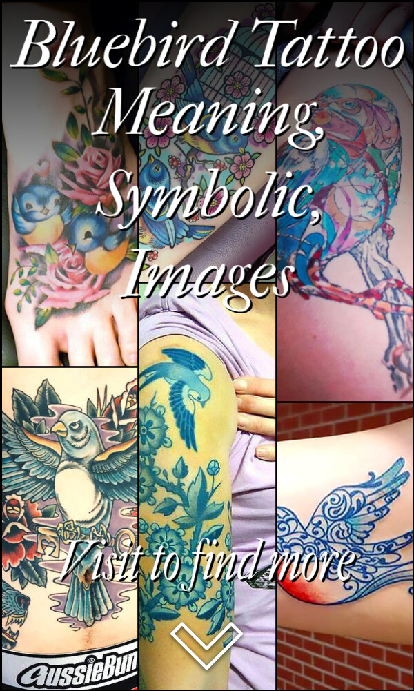 Bluebird Tattoo Meaning, Symbolic, Images