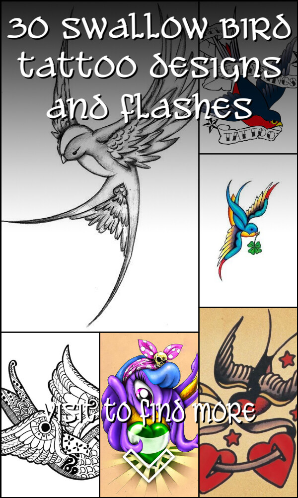 30 Swallow Bird Tattoo Designs and Flashes