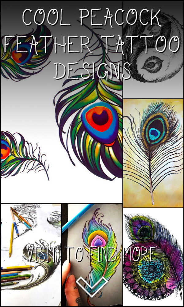 12 Cool Peacock Feather Tattoo Designs