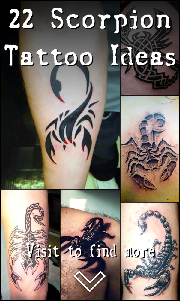 22 Scorpion Tattoo Ideas