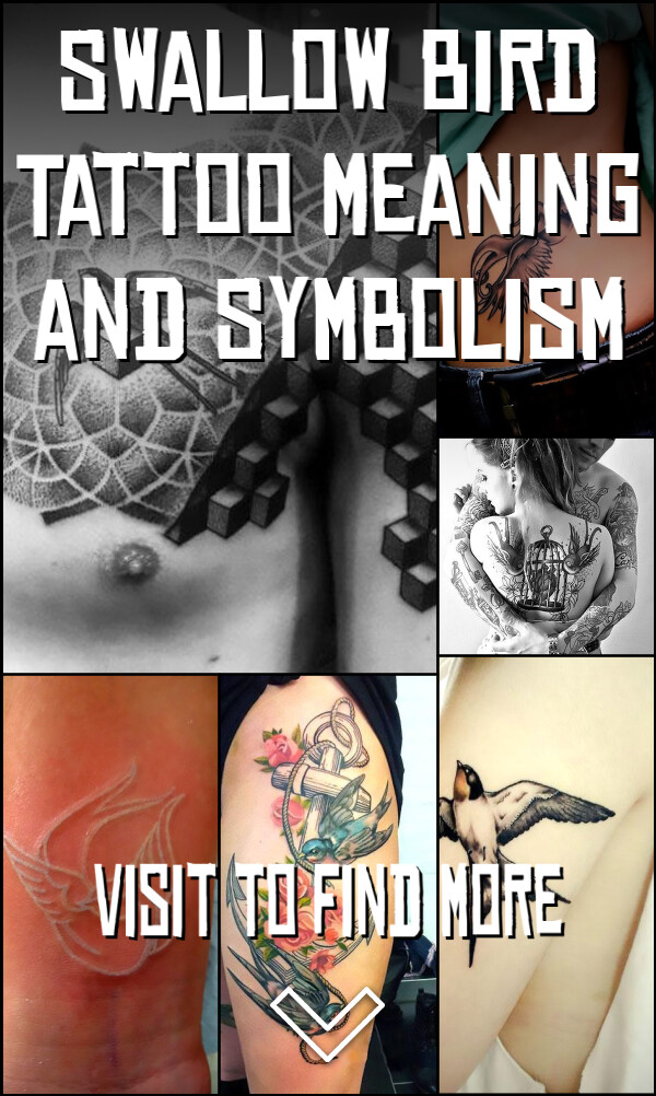 Swallow Bird Tattoo Meaning and Symbolism