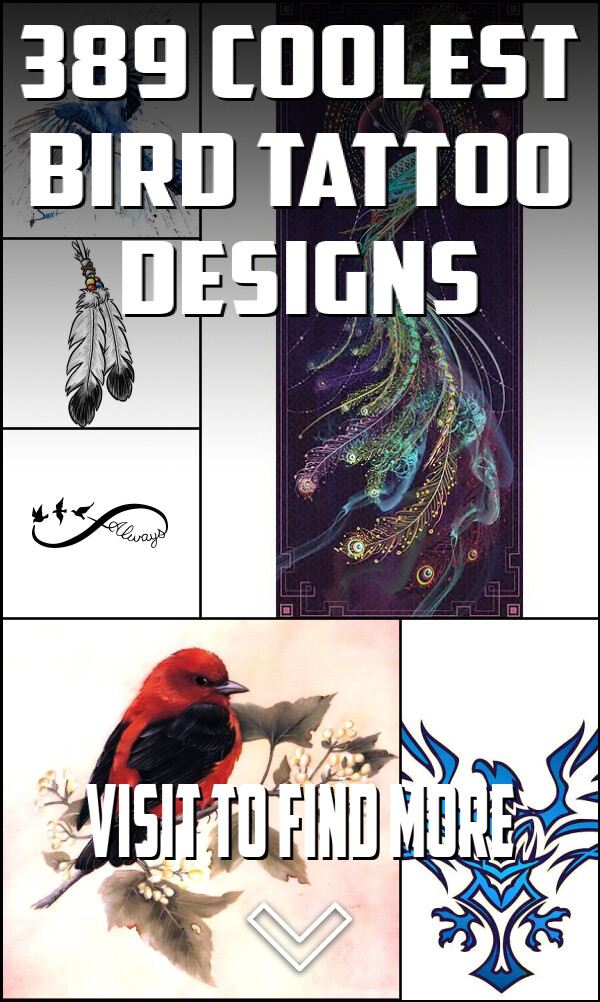 389 Coolest Bird Tattoo Designs